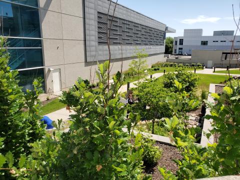 Koslosky Reflection Garden